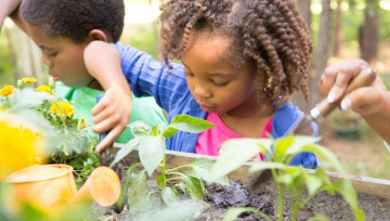 Enfants qui jardinent