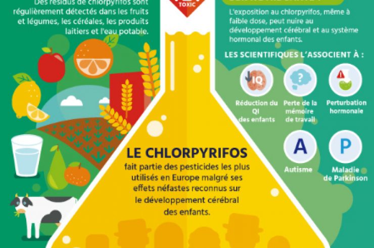 Chlorpyrifos, un pesticide toxique à bannir de nos assiettes