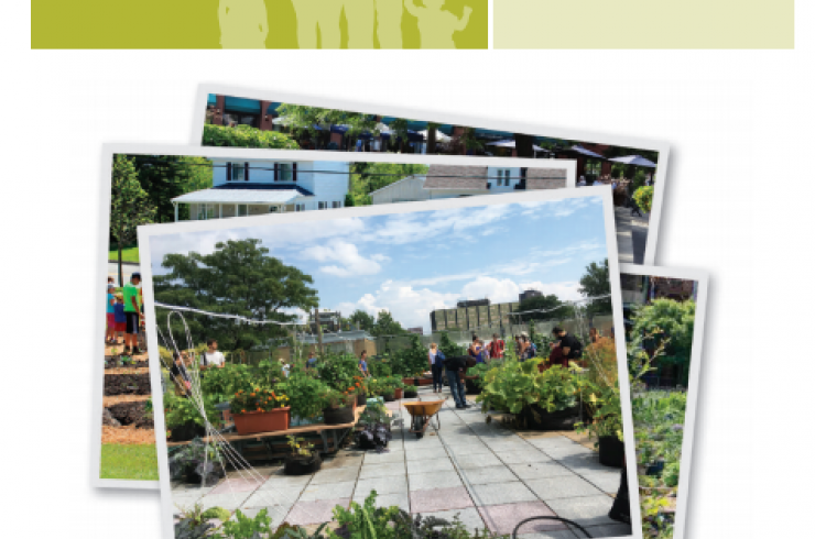 L'agriculture urbaine : Guide de bonnes pratiques sur la planification territoriale et le développement durable