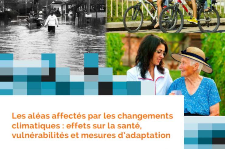 Les aléas affectés par les changements climatiques : Effets sur la santé, vulnérabilités et mesures d'adaptation