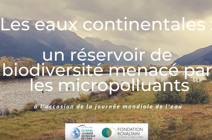 Video eau micropolluants Fondation Rovaltain