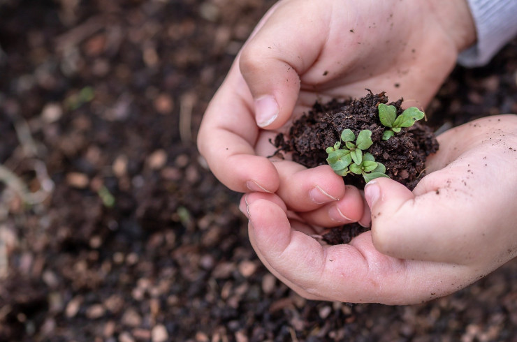 Semons la biodiversité