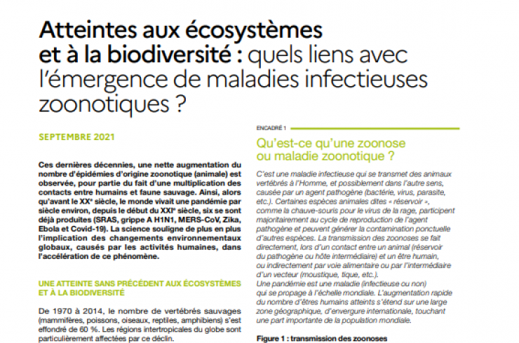 Atteintes aux écosystèmes et à la biodiversité : Quels liens avec l'émergence de maladies infectieuses zoonotiques ?