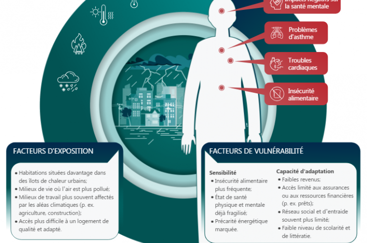 Six infographies sur les enjeux des changements climatiques pour la santé