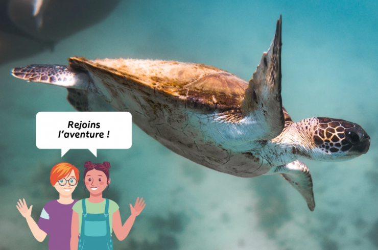 La grande histoire de la biodiversité