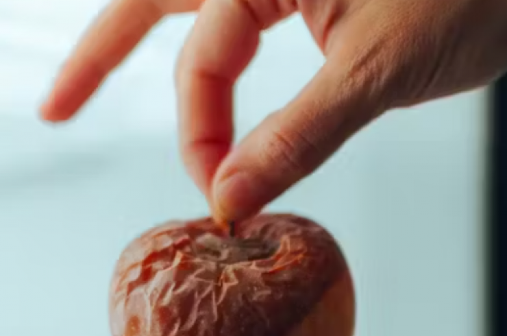 Gaspillage alimentaire : Quand les enfants éduquent les parents
