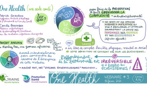 dessin 3 Louise Plantin - One Health - Web4