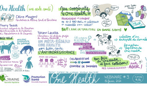 dessin 4 Louise Plantin - One Health - Web4