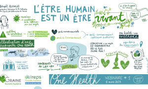 dessin 2 Louise Plantin - One Health - Web1