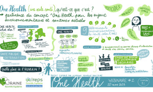 dessin 1 Louise Plantin - One Health - Web2