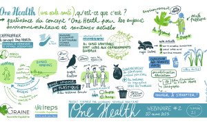 dessin 2 Louise Plantin - One Health - Web2