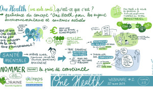 dessin 3 Louise Plantin - One Health - Web2